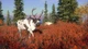 Дополнение TheHunter: Call of the Wild - Yukon Valley - Europe для ПК (Ключ активации Steam) - изображение 2