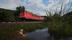 Дополнение Train Sim World 2: DB BR 155 Loco для ПК (Ключ активации Steam) - изображение 4