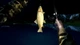 Гра Ultimate Fishing Simulator для ПК (Ключ активації Steam) - зображення 5
