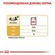 Влажный корм Royal Canin Chihuahua для взрослых собак породы чихуахуа 85 г (арт 20410010) - изображение 5