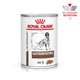 Лікувальні дієти для собак Вологий корм для дорослих собак ROYAL CANIN GASTRO INTESTINAL DOG Cans 400 г (40380041) - изображение 1