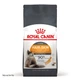 Корм для котів ROYAL CANIN HAIR&SKIN CARE 10,0 кг для підтримки здоров’я шкіри та блиску шерсті (2526100) - изображение 1