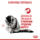 Корм для котів ROYAL CANIN HAIRBALL CARE 2,0 кг рекомендований для виведення грудок шерсті (2534020) - изображение 5