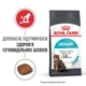 Корм для котів ROYAL CANIN URINARY CARE 2,0 кг рекомендований для підтримання здоров’я сечовивідних шляхів (1800020) - изображение 2