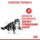 Корм для котів ROYAL CANIN URINARY CARE 2,0 кг рекомендований для підтримання здоров’я сечовивідних шляхів (1800020) - изображение 5