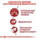 Корм для домашніх і вуличних котів ROYAL CANIN FIT 400 г (2520004) - изображение 3
