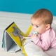 Розвиваюча книжечка Taf Toys "Пригоди Коали" перекидна 12395 - зображення 4