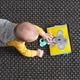 Розвиваюча книжечка Taf Toys "Пригоди Коали" перекидна 12395 - зображення 9