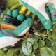Ножницы Fiskars Solid SP15 для растений (1051602) - изображение 4