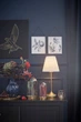 Настільна лампа IKEA ARSTID 303.213.73 - изображение 6