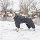 Комбинезон для животных Pet Fashion "COLD" 4XL (серый) (4823082426386) - изображение 5