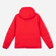 Куртка демисезонная двусторонняя с капюшоном мужская Nazareno Gabrielli GD-00060411 L Разноцветная (DN8300467522018) - изображение 4