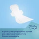 Прокладки послеродовые с крылышками ночные 8 шт Canpol babies (5901691879065) - изображение 9