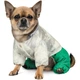 Костюм для животных Pet Fashion Pf Style S (4823082427956) - изображение 5