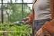 Ножницы Gardena MultiCut универсальные (12215-20.000.00) - изображение 7