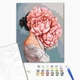 Картина по номерам Загадка пионов Brushme 40 х 50 BS52100 - изображение 2