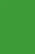 Фон бумажный Savage Widetone Tech Green рулон 2.72x11 м (46-12) - изображение 2