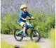 Велосипед Ninebot Kids Bike 18\'\' черно голубой - изображение 6