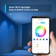 Розумний, кольоровий Wi-Fi прожектор TP-LINK Tapo L630 - зображення 3