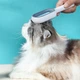 Щётка для вычесывания шерсти домашних животных 4в1 Pet Cleaning Comb с массажем и чисткой вещей Голубой - изображение 6