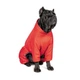 Комбинезон для собак Pet Fashion «COLD» XL (красный) - изображение 4
