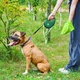 Повідок для собак WAUDOG R-leash з контейнером для пакетів L до 40 кг 5 м зелений (262918) - зображення 7