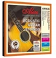 Струни для акустичної гітари Alice AW436P-L Phosphor Bronze 12-53 Light - зображення 1