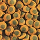 Корм Tetra Pleco Multi Wafers чипсы 3,6 литров или 1,75 кг - изображение 2