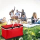 Термосумка складная A-PLUS 48 х 28 x 23 см 372 FB Красный - изображение 2