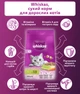 Упаковка сухого корма для котов Whiskas с ягненком 14 х 300 г (5998749106020/5900951304743) - изображение 3