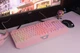 Клавіатура мембранна 2E GAMING KG315 110key, USB-A, EN/UA, RGB, рожевий - зображення 6