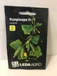 Насіння огірка Каприкорн F1 партенокарпічний 50 шт LedaAgro - изображение 1