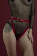 Гартеры Feral Feelings - Belt Briefs, трусики, натуральная кожа, цвет красный S/L ( SO3446 ) - изображение 1