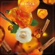 Аромат-наповнювач (Лампа Берже) Maison Berger AMBER POWDER 1000ml. (116022-BER) - изображение 3