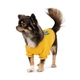 Футболка Pet Fashion «Maria» для дівчаток, розмір S2, жовта - зображення 2