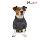 Дождевик Pet Fashion «Rain» для собак, размер SM, серый - изображение 4