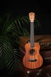 Укулеле ELIMA TENOR UE-02 26" (акційний набір) - зображення 7