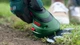 Аккумуляторные ножницы Bosch ISIO 3,6 V Li с телескопической штангой (0600833109) - изображение 2