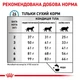 Сухий корм для котів Royal Canin Hypoallergenic 400 г - изображение 7