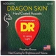 Струни для акустичної гітари DR STRINGS DRAGON SKIN ACOUSTIC - 12 STRING (10-48) - зображення 1