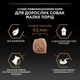 Сухий корм для дорослих собак дрібних порід Pro Plan Adult Small & Mini 700 г (курка) - зображення 8