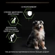 Cухий корм для цуценят Pro Plan Medium Puppy Healthy Start 3 кг - курка - изображение 8