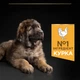 Cухий корм для цуценят Pro Plan Large Robust Puppy Healthy Start 12 кг - курка - изображение 6