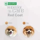 Сухой корм для взрослых собак мелких пород с рыжим окрасом шерсти Nature's Protection Red Coat Grain Free Adult Small Breeds Salmon с лососем, 10 кг - изображение 3
