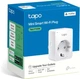 Умная Wi-Fi розетка TP-LINK мини Tapo P100M - изображение 2