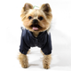 Lucky Pet Костюм Соло синий M №0, 25 х 40 см - изображение 1