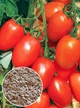 Семена Яскрава Томат Де Барао красный (семена) 20 г (39580) - изображение 1