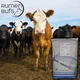 Буфер рубця для ВРХ і МРХ Rumen Bufs Мішок 25 кг - зображення 2