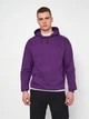 Худи утепленное мужское Just Hoods College AWJH001PU L Purple (Tr2000000014111) - изображение 1