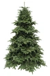 Ель 2,30 м Abies Nordmann de Luxe зеленая - изображение 1